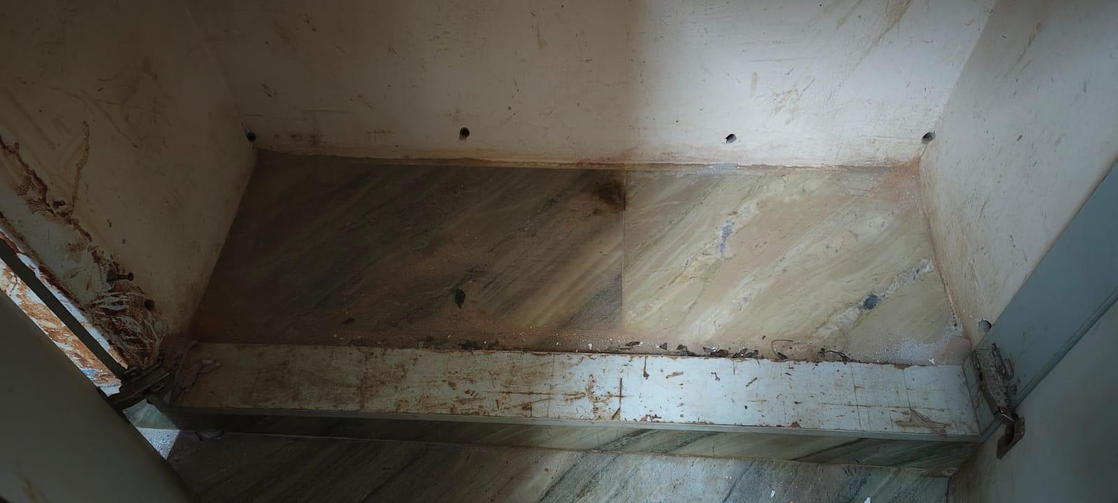 termites effect on house