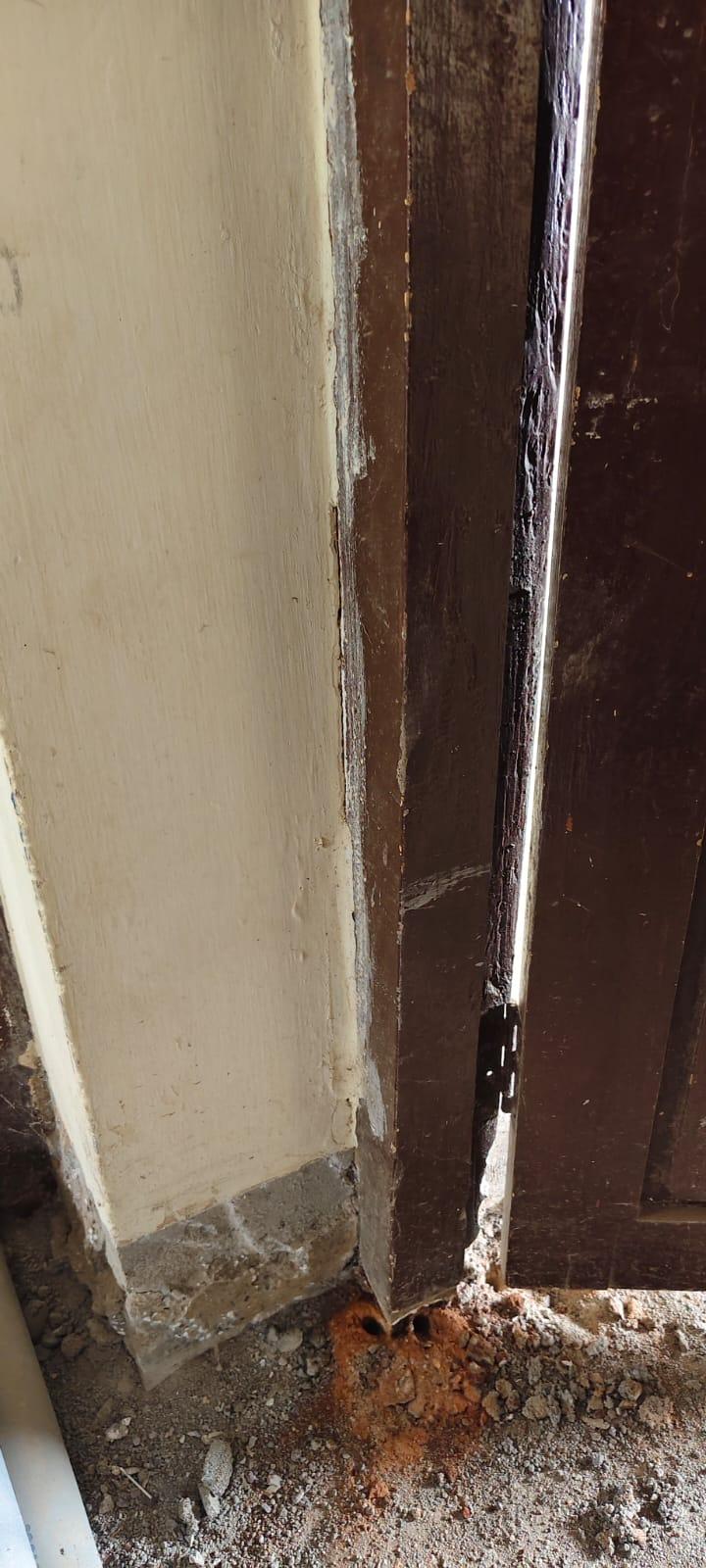 termites effect on house wood
